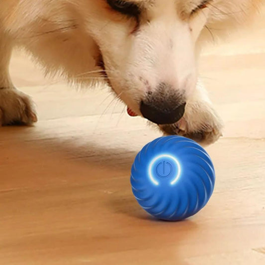 Pelota Interactiva para mascotas
