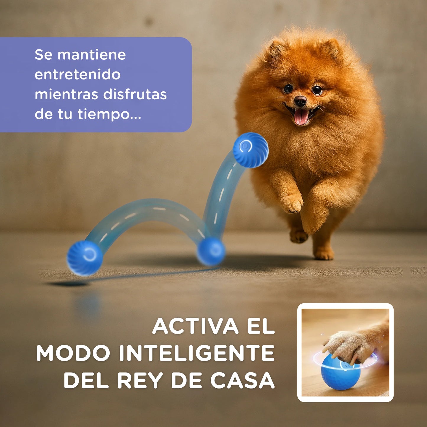Pelota Interactiva para mascotas